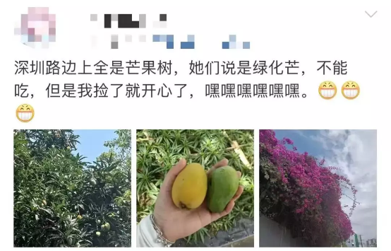 小红书上拼命带货的“梅西同款”马黛茶，为什么就是火不了？