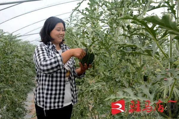 种西瓜的注意了！只需一点改变，亩收入轻松达2万，市场前景巨大不愁卖！